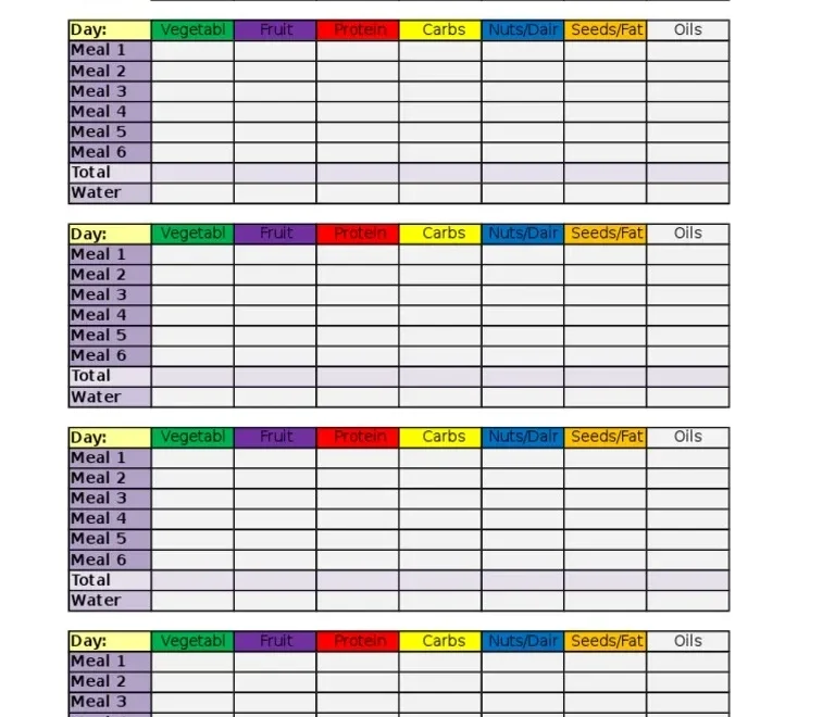 21 Day Fix Tally Sheet PDF