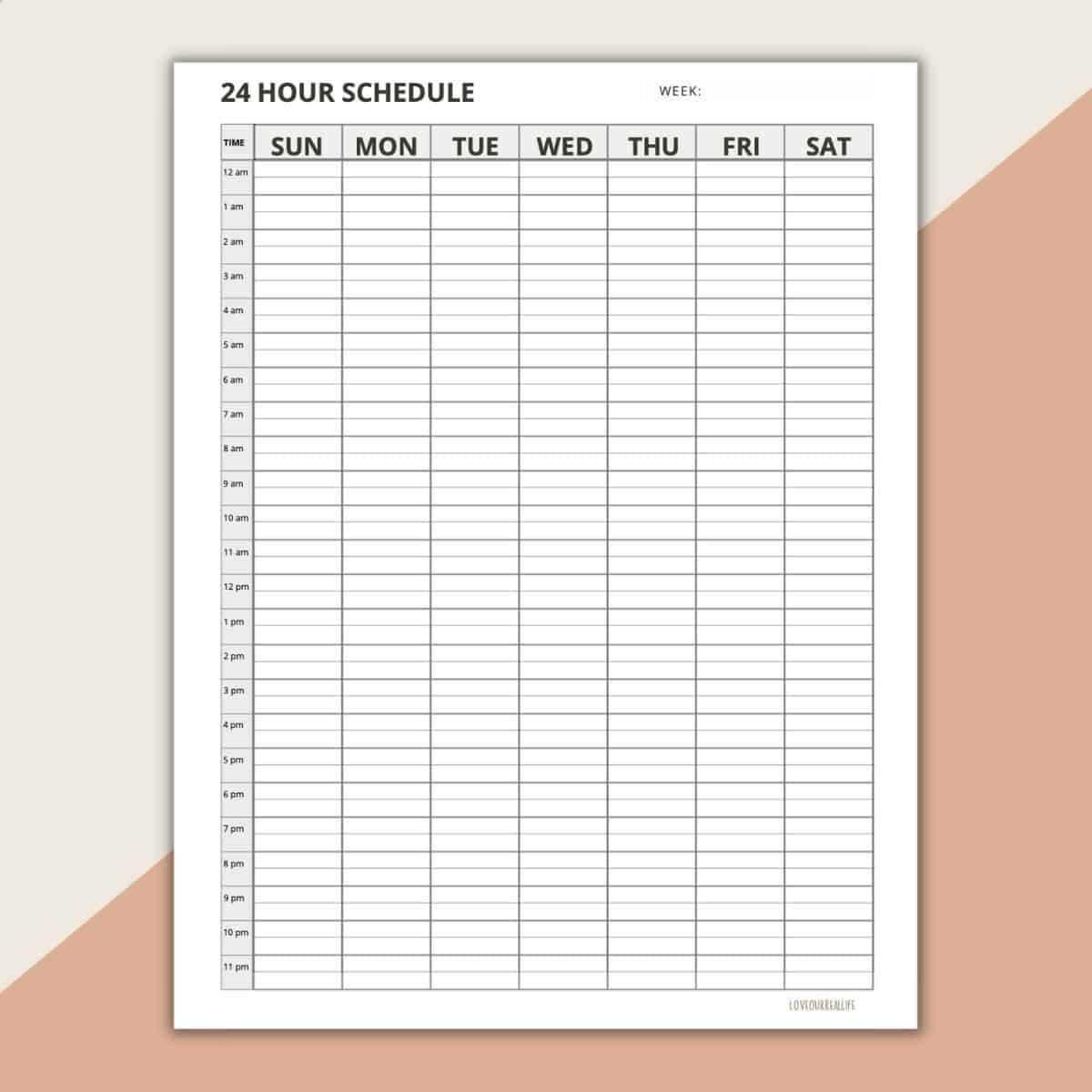 24 Hour Daily Schedule Template 1 Page Layout Printable 