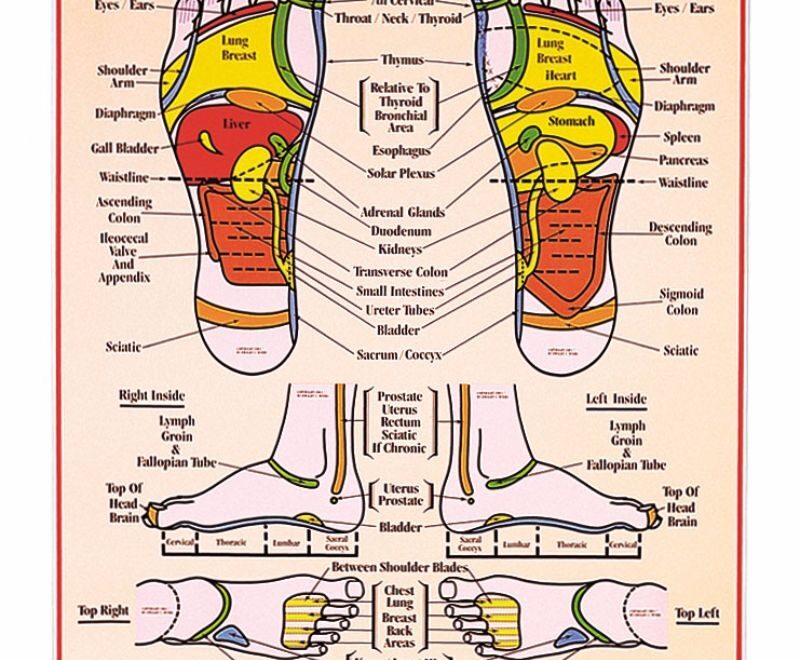 31 Printable Foot Reflexology Charts amp Maps TemplateLab