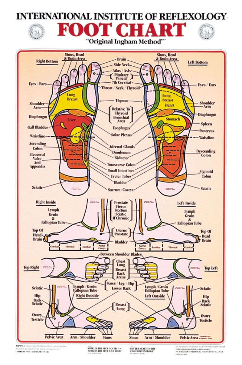 31 Printable Foot Reflexology Charts amp Maps TemplateLab