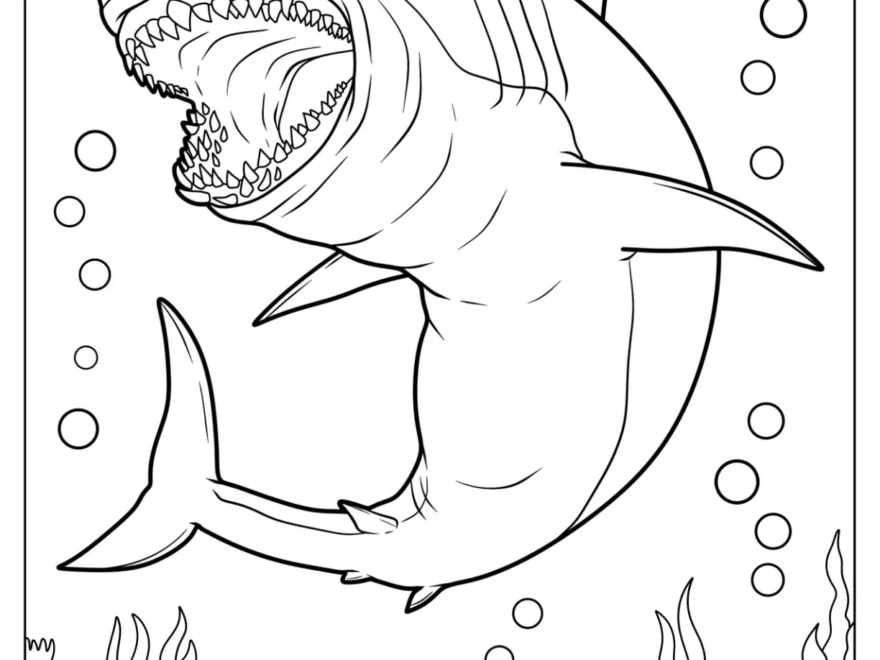 34 Shark Coloring Pages Free PDF Printables