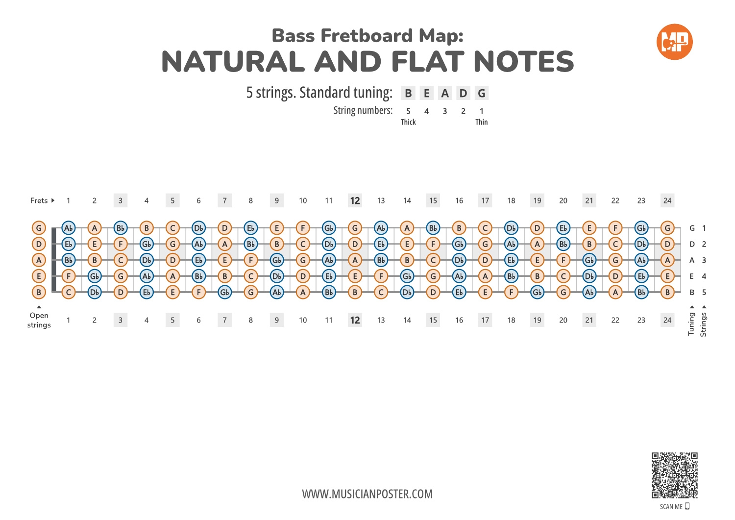 Printable Bass Fretboard Chart