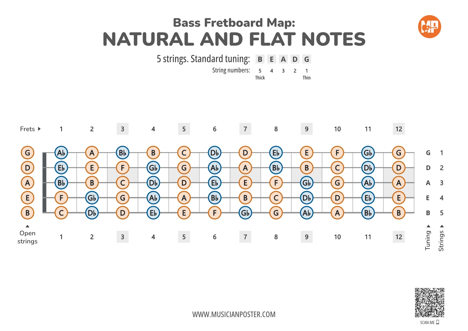 5 String Bass Guitar Printable Fretboard Map With All Notes