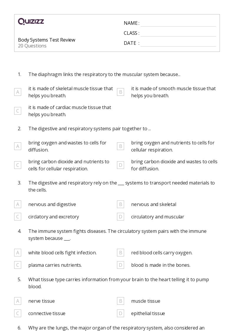 50 The Circulatory And Respiratory Systems Worksheets On Quizizz 50 The Circulatory And Respiratory Systems Worksheets On Quizizz