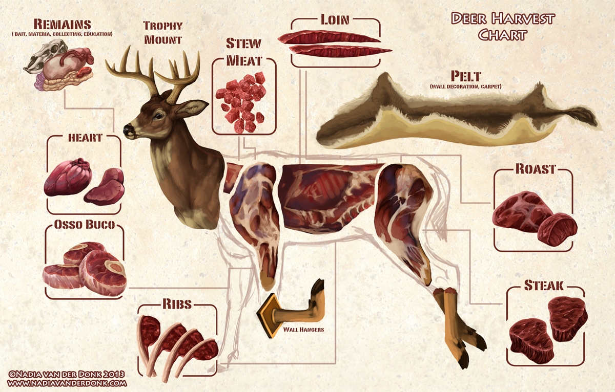 Printable Guide To Quarter A Deer Printable Guide To Quarter A Deer