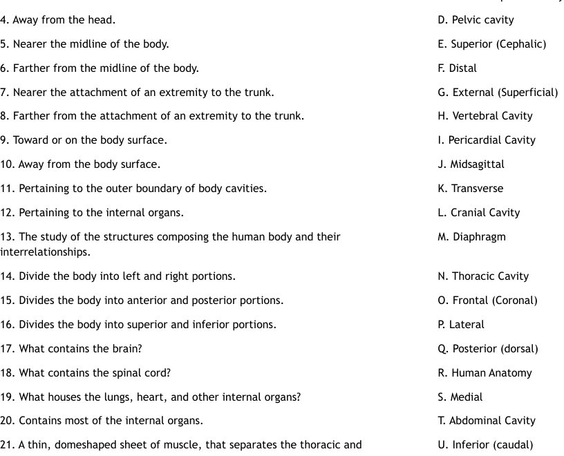 Anatomy amp Physiology Worksheet WordMint
