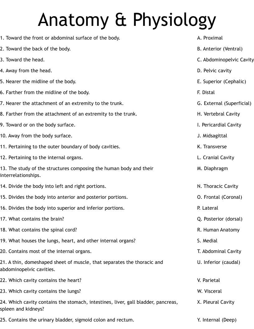 Anatomy amp Physiology Worksheet WordMint Anatomy amp Physiology Worksheet WordMint