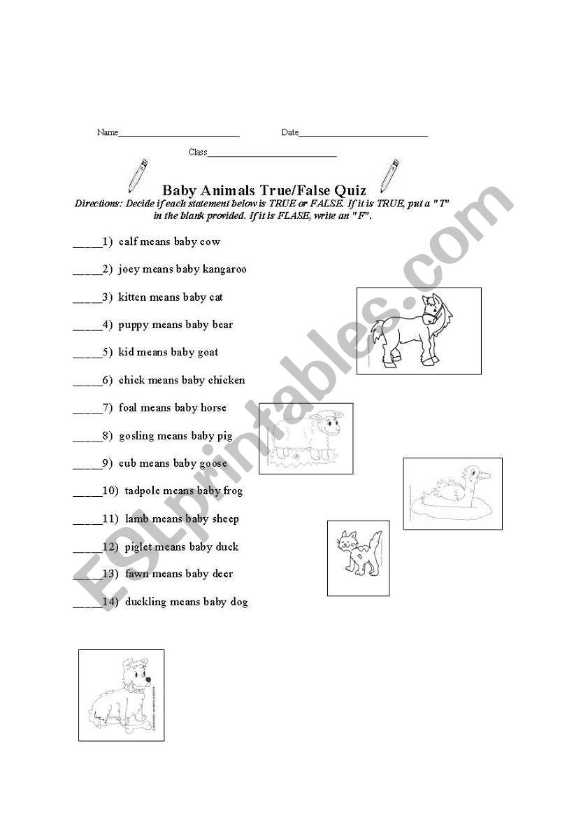Printable Animal Trivia True False