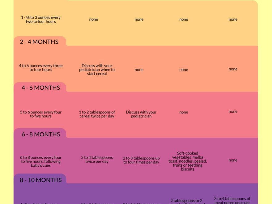 Baby Feeding Schedule Chart In Illustrator PDF Word Google Docs Download Template