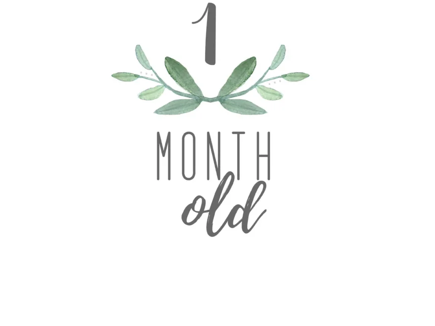 Baby Months Old Printable Set Etsy