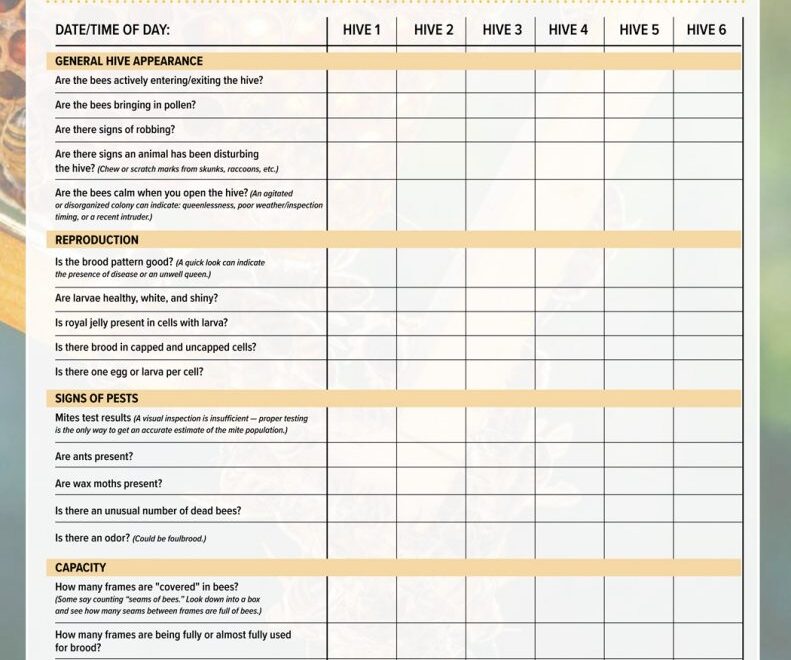 Beehive Inspection Checklist Backyard Beekeeping