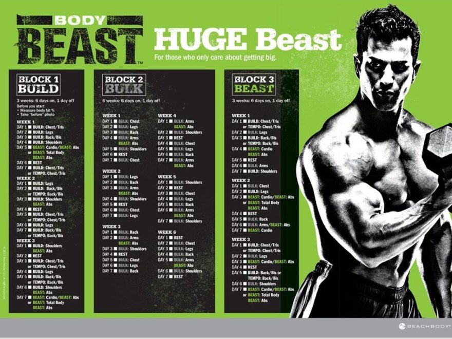Body Beast Workout Schedule Worksheets And Calendar Downloads Worksheets Library