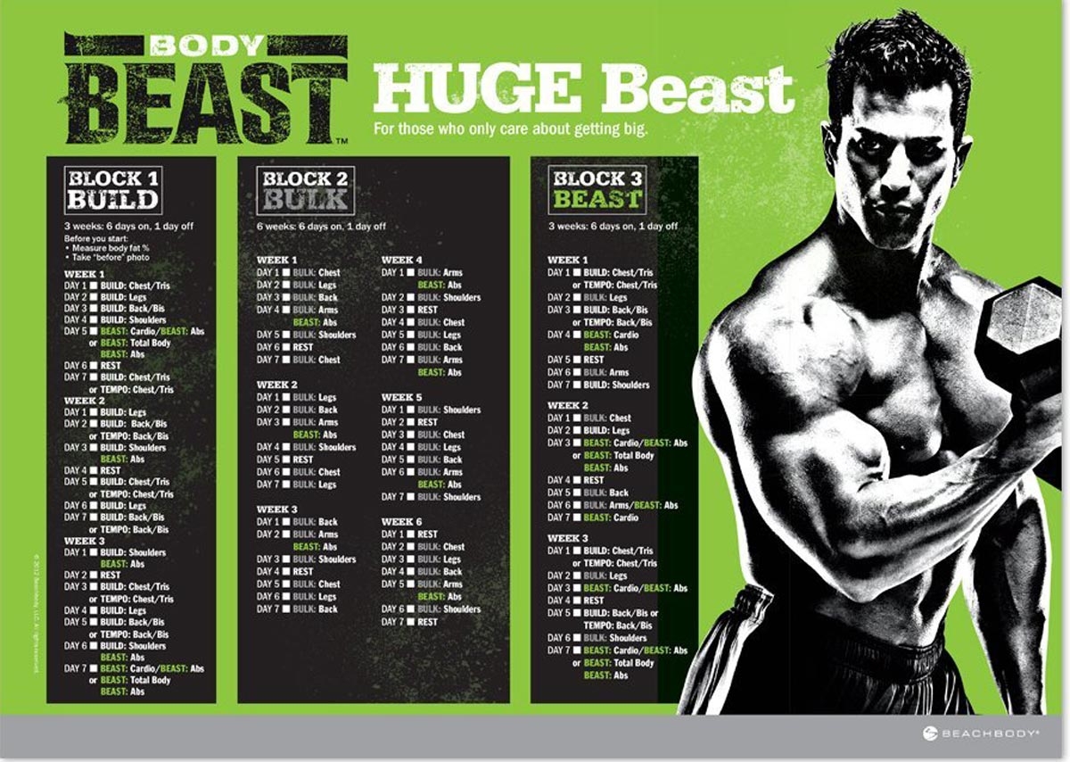 Body Beast Workout Schedule Worksheets And Calendar Downloads Worksheets Library