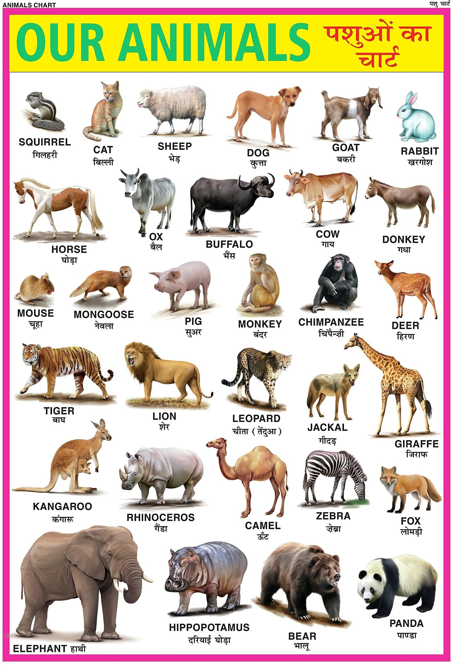 Animal Chart Printable Animal Chart Animal Chart Printable Animal Chart