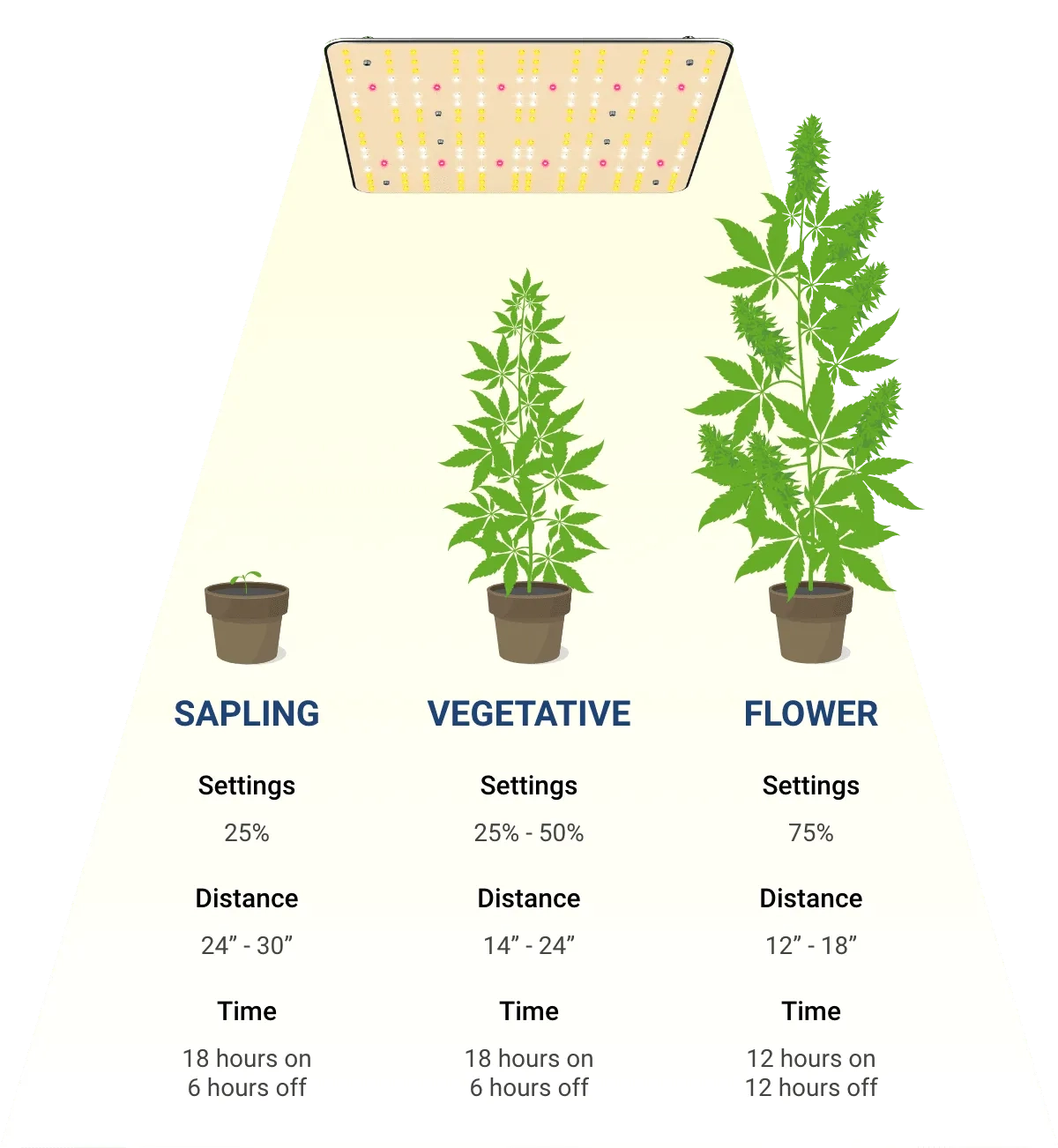 Weed Plant Growth Chart Printable