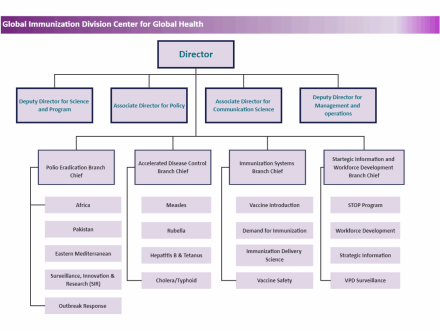 CDC Org Chart EdrawMax Template