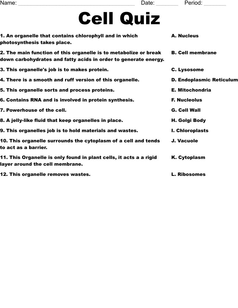 Cell Quiz Worksheet WordMint