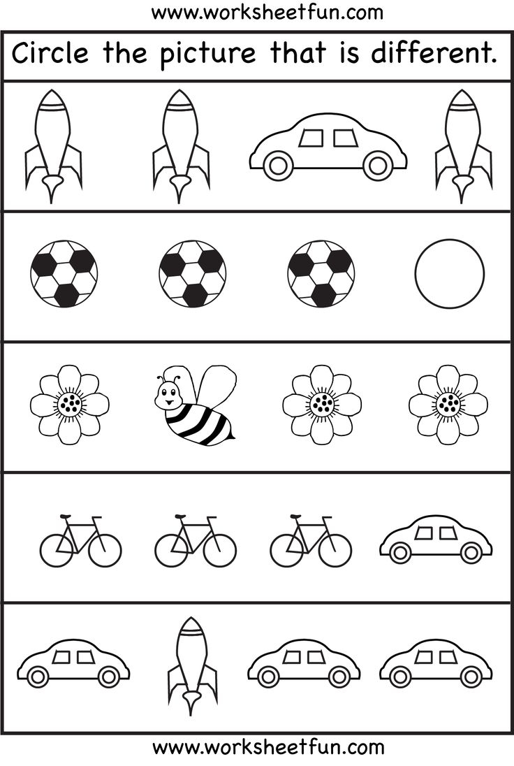 Circle The Picture That Is Different 4 Worksheets FREE 
