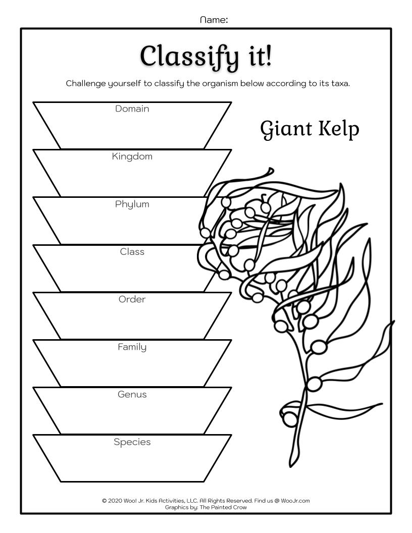 Classification System Science Lesson Learning Taxonomy Woo Jr Kids Activities Children s Publishing Classification System Science Lesson Learning Taxonomy Woo Jr Kids Activities Children s Publishing