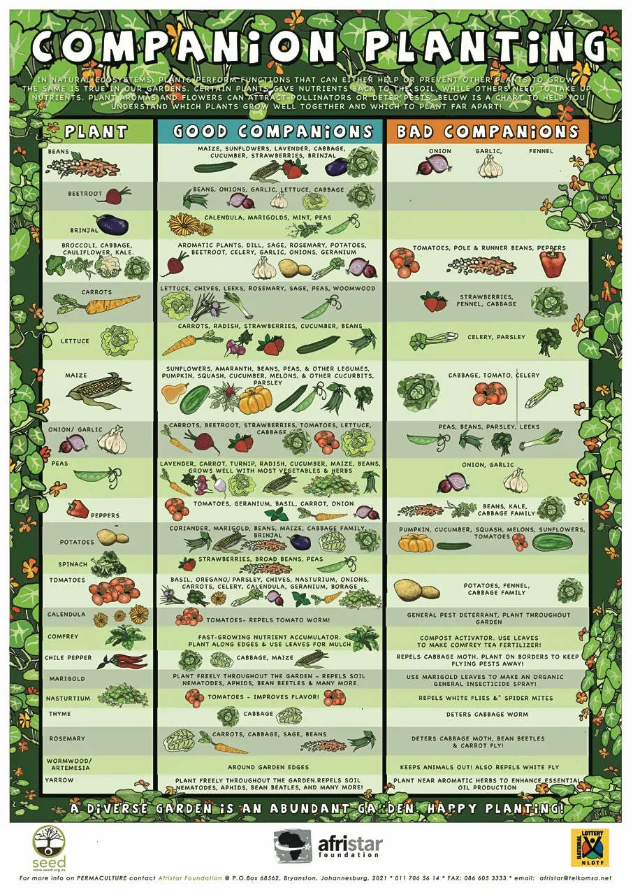 Collection Of Companion Planting Charts Guides And PDFs World Water Reserve Collection Of Companion Planting Charts Guides And PDFs World Water Reserve