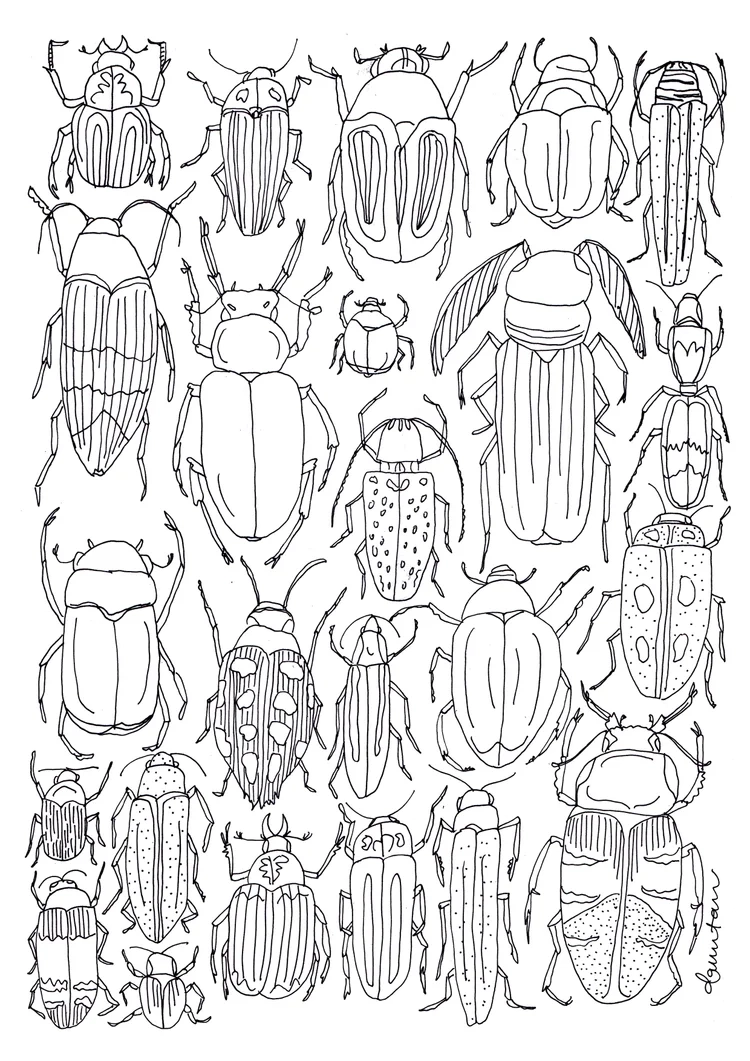 Printable Take Home Sheets On Bugs