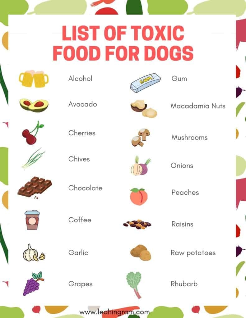 Dangerous Human Food For Dogs 2025 Dangerous Human Food For Dogs 2025