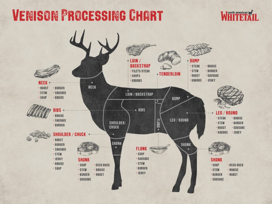 Deer Diagram Complete Guide To The Cuts Of Venison North