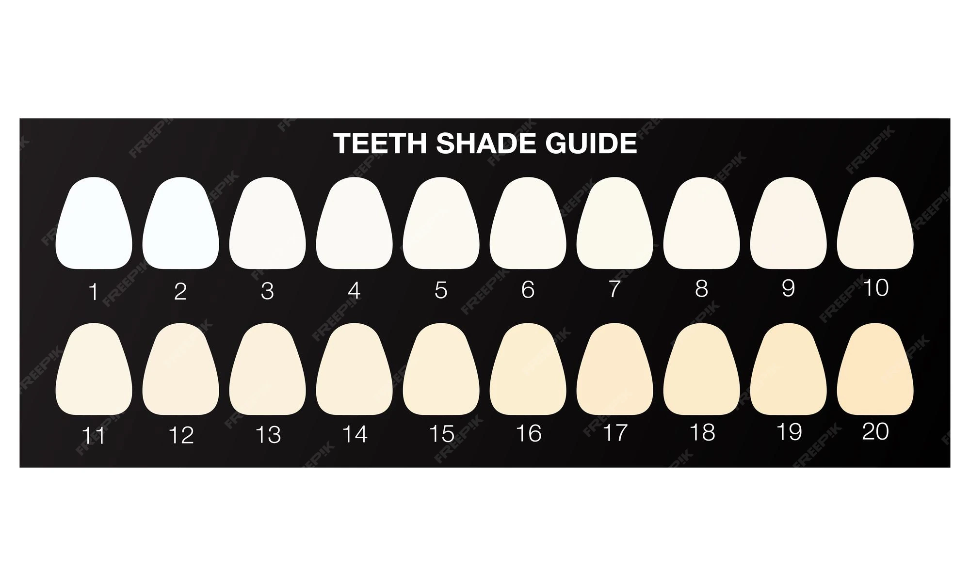 Dental Teeth Shade Guide 20 Color Teeth Whitening Set 3D Shade 