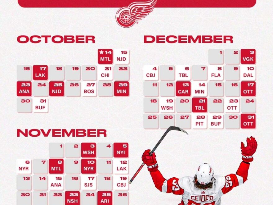 detroit red wings on x