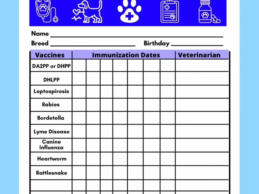 Dog Vaccine Printable Pet Printable Immunization Puppy