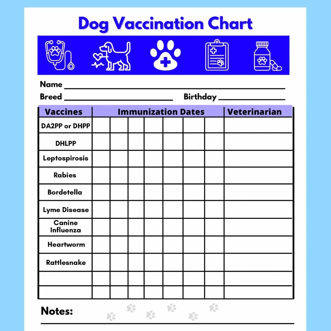 Dog Vaccine Printable Pet Printable Immunization Puppy Dog Vaccine Printable Pet Printable Immunization Puppy