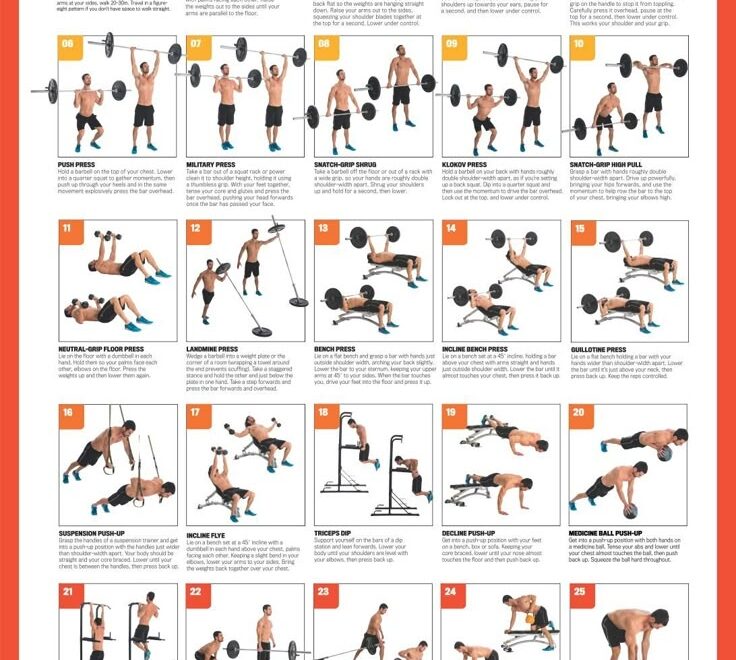 Dumbbell Workout Poster 10 Free PDF Printables Printablee
