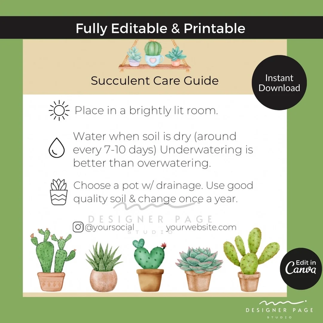 Editable Succulent Care Guide Template Plant Care Cards Tag 