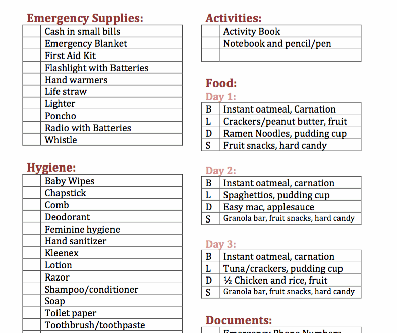 Essential DIY Adult 72 Hour Kit With Printable Checklists