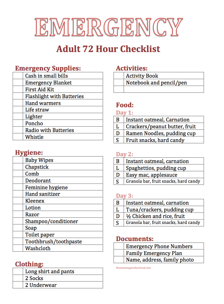 Essential DIY Adult 72 Hour Kit With Printable Checklists 