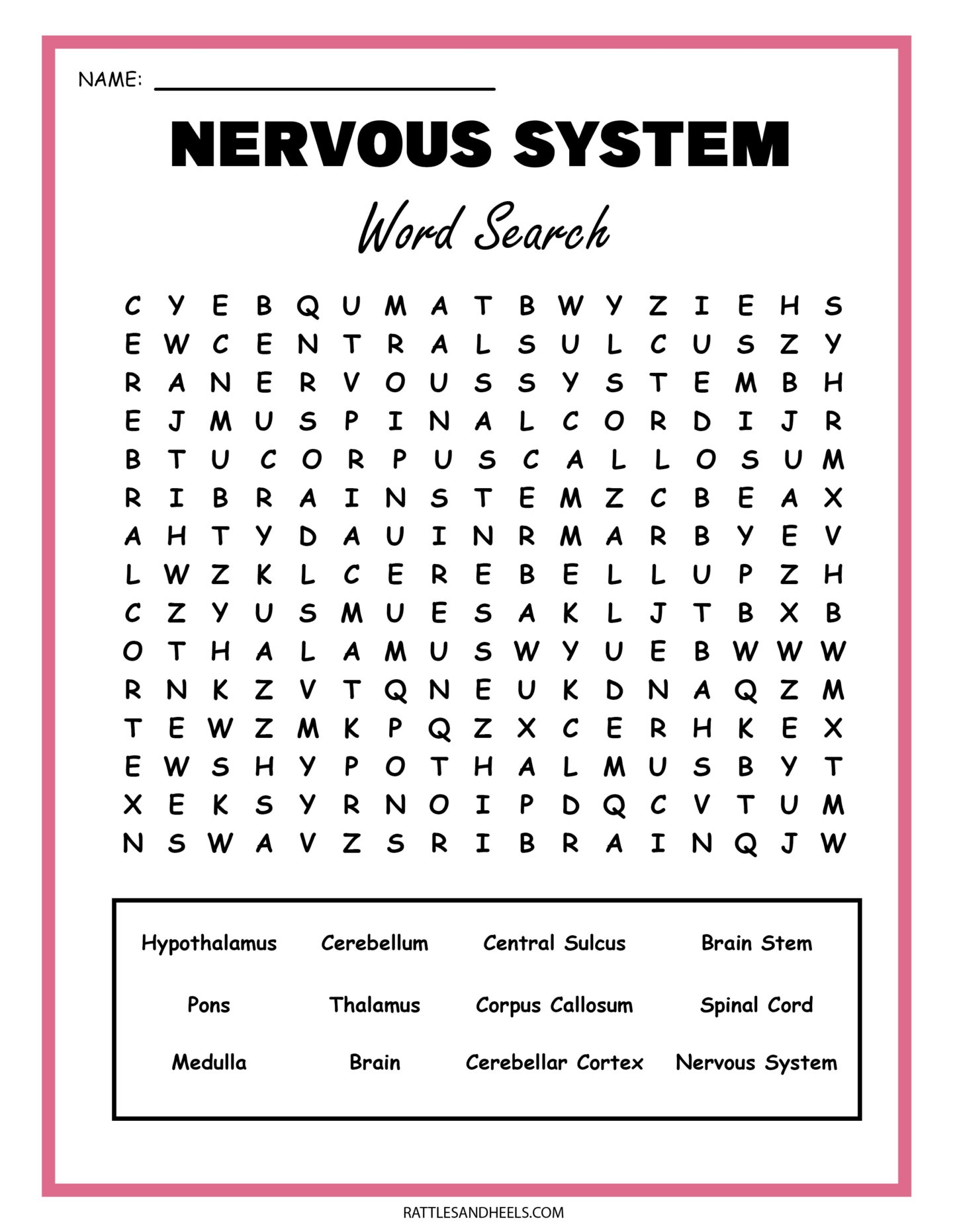 Printable Sheets Of The Nervous System Printable Sheets Of The Nervous System