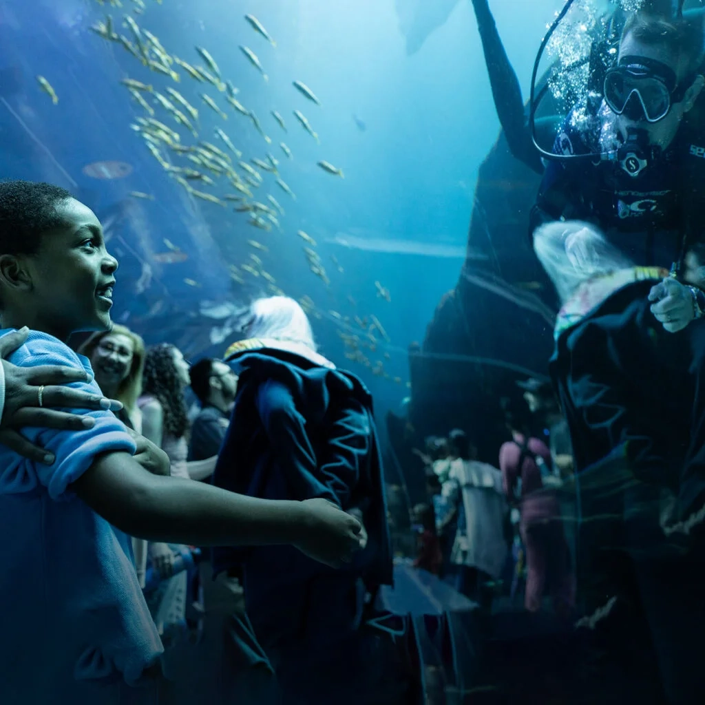 Atlanta Aquarium Field Guide Printable Atlanta Aquarium Field Guide Printable