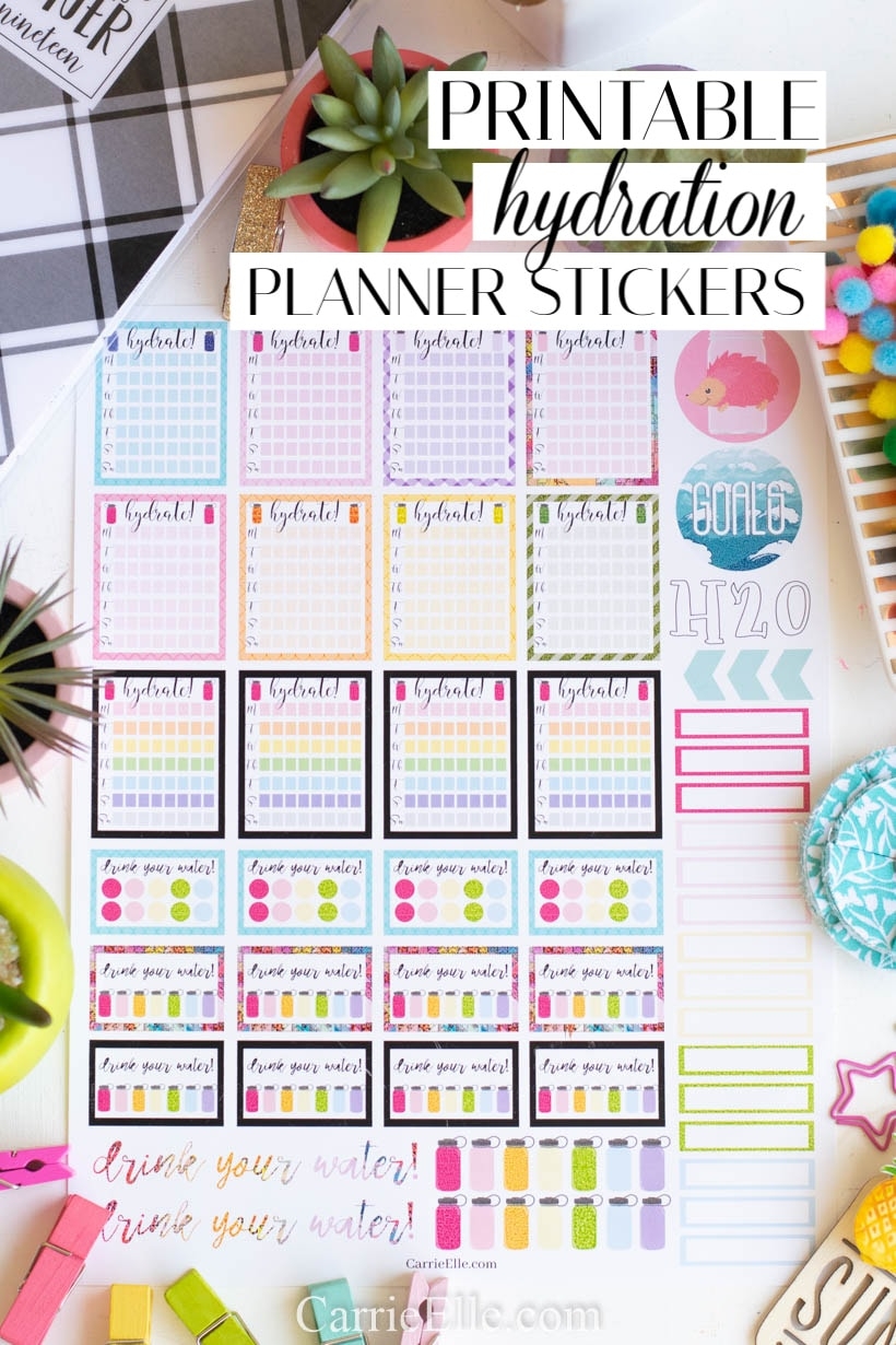 Girl Drink Your Water Printable Hydration Planner Stickers Girl Drink Your Water Printable Hydration Planner Stickers