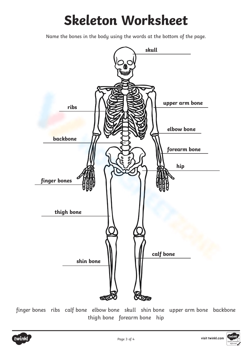 4th Grade Bones Quiz Printable 4th Grade Bones Quiz Printable