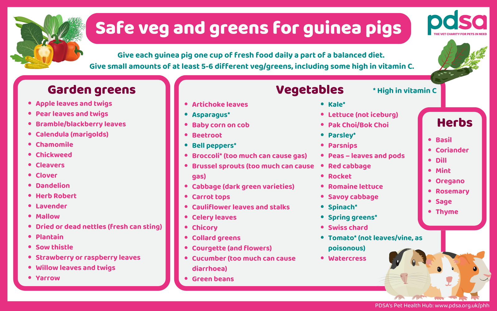 Guinea Pig Food List Printable Printable Guinea Pig Safe Vegetable 