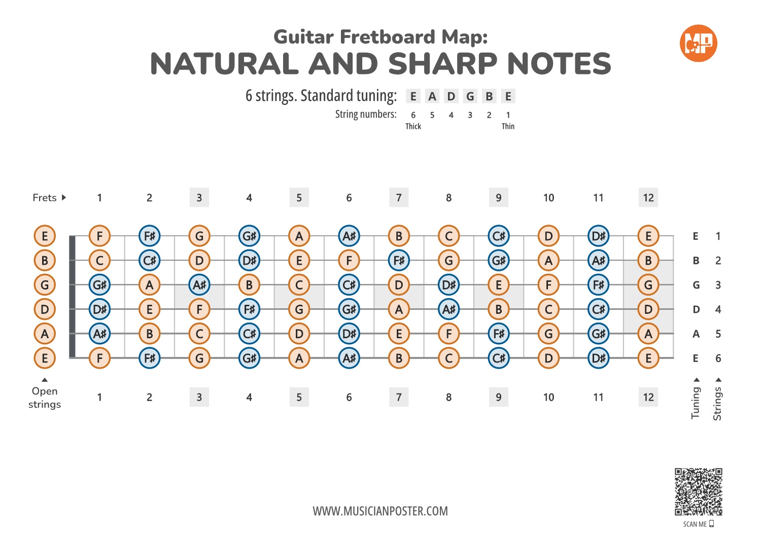 Guitar Printable Fretboard Map With All Notes