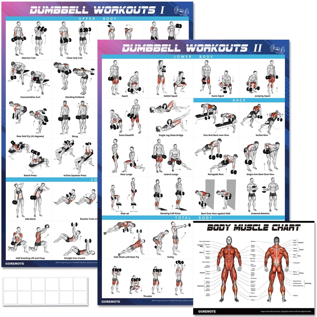 Gym Exercise Chart Pdf Total Gym Poster Total Gym Upper Body 