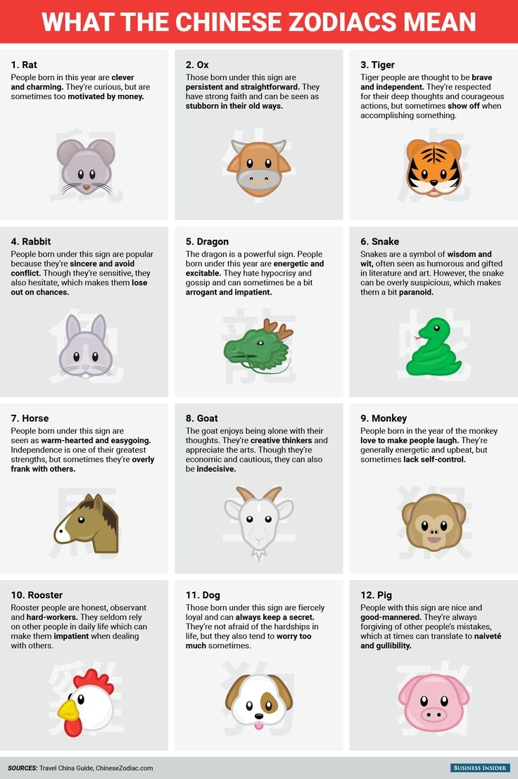 Happy Chinese New Year This Is What The Chinese Zodiac Says About You Happy Chinese New Year This Is What The Chinese Zodiac Says About You