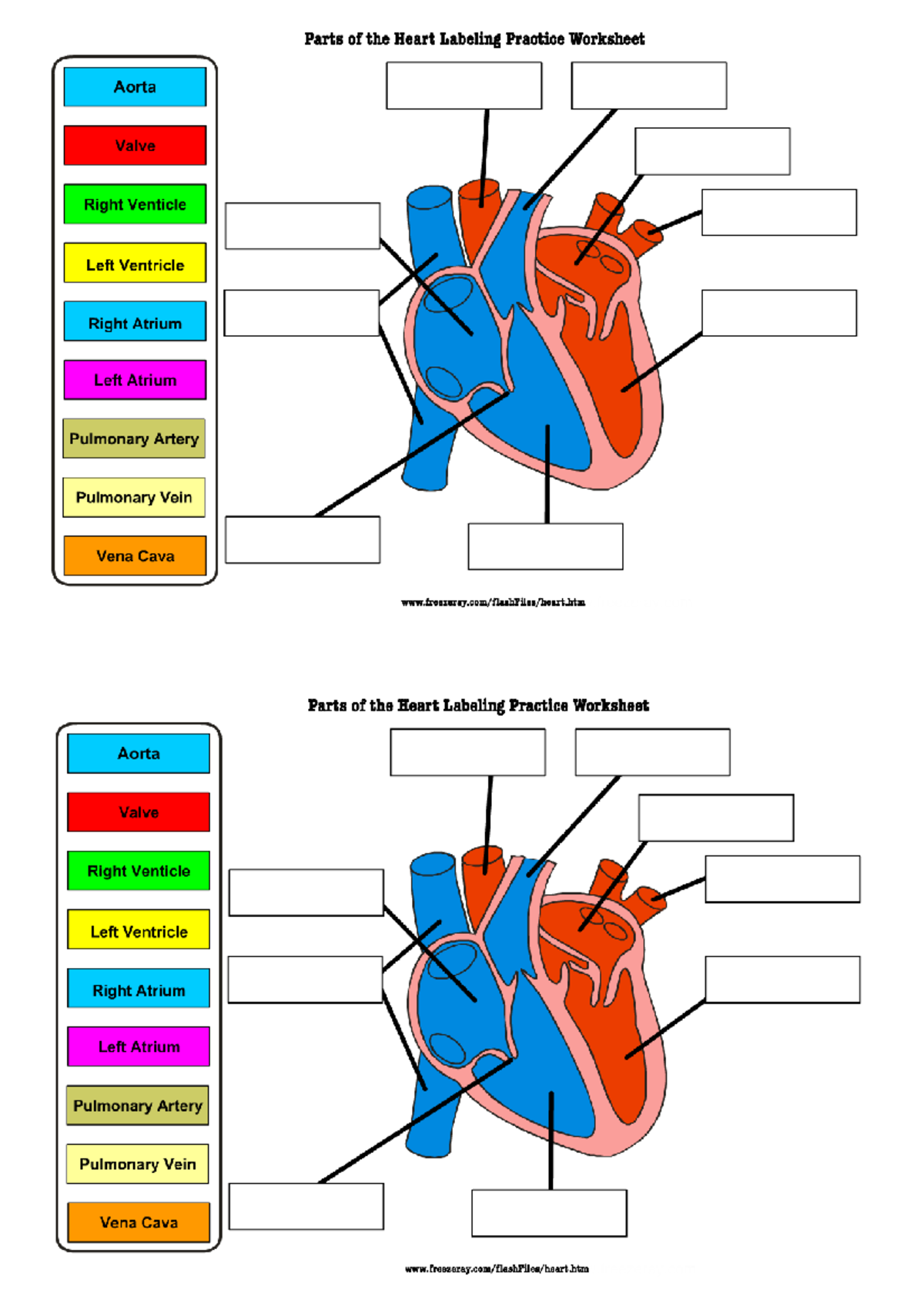 heart anatomy quiz labeling parts of the heart studocu heart anatomy quiz labeling parts of the heart studocu