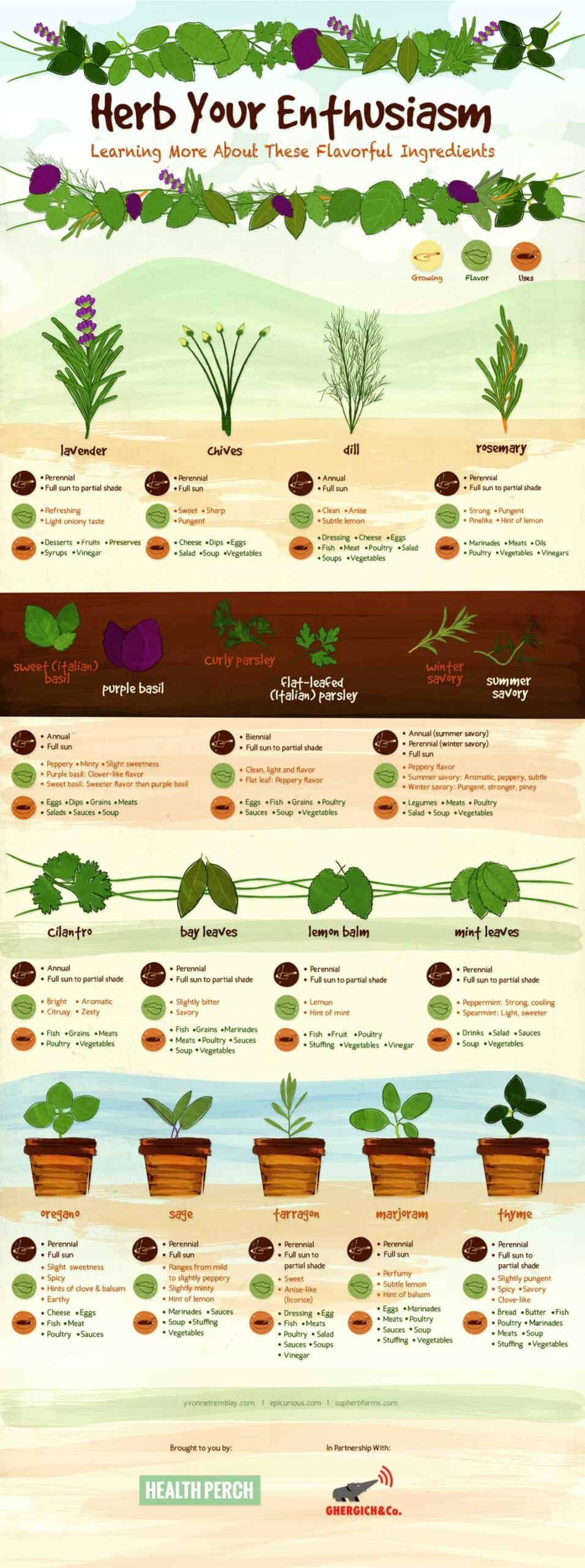 Printable Herb Garden Care Sheet Guide