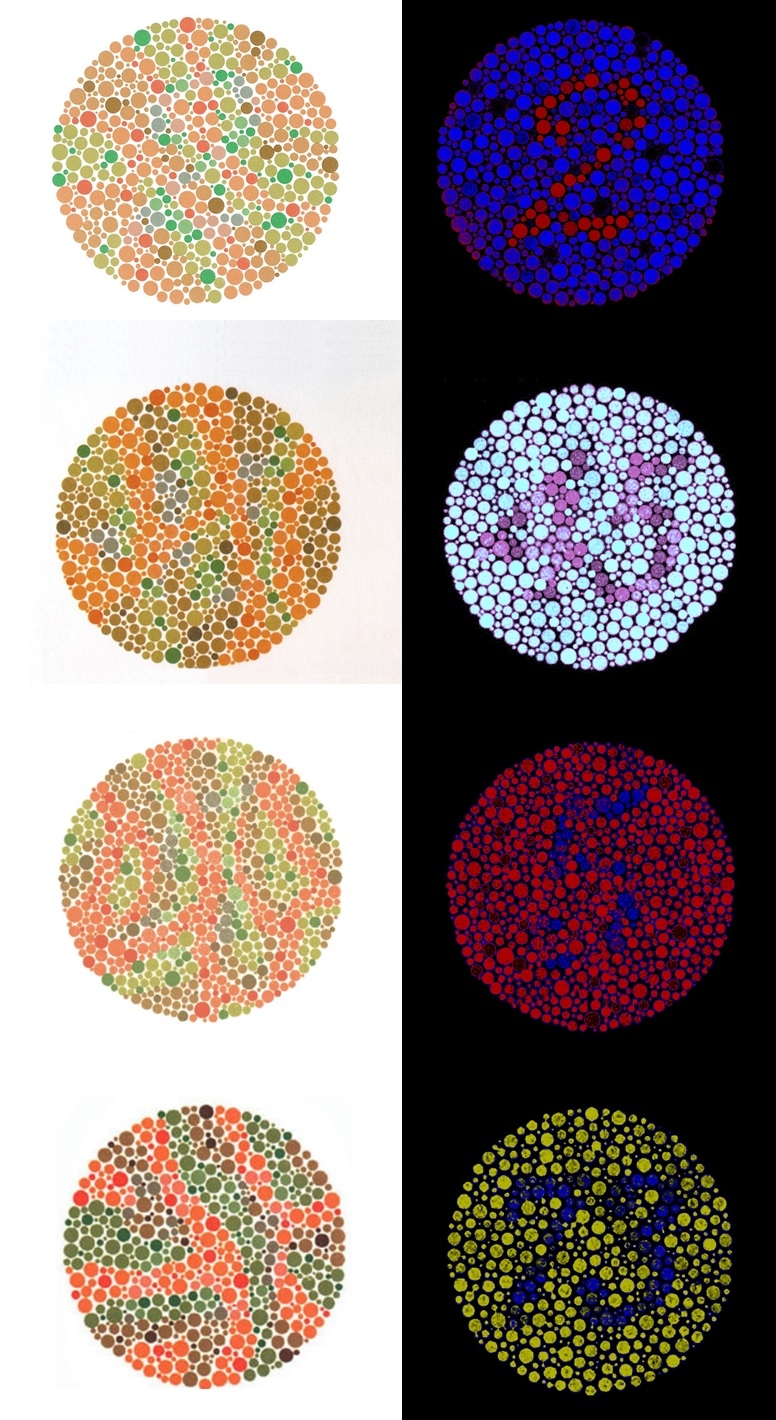 Printable Color Blindness Test Chart