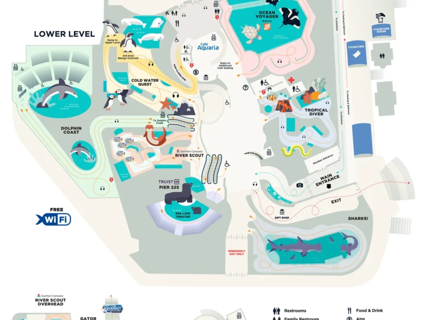 How To Visit Georgia Aquarium Georgia Aquarium