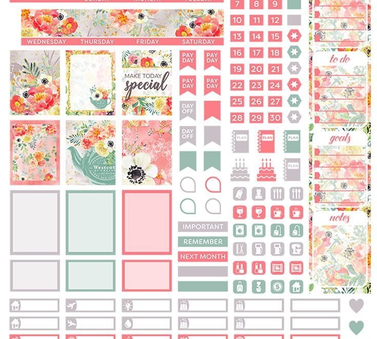 JUNE Monthly Planner Stickers Printable Planner Stickers Mini