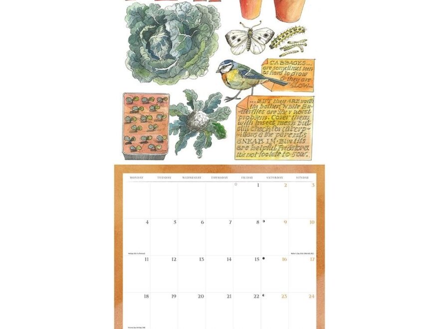 matthew rice year in the country calendar 2026 cotswold trading