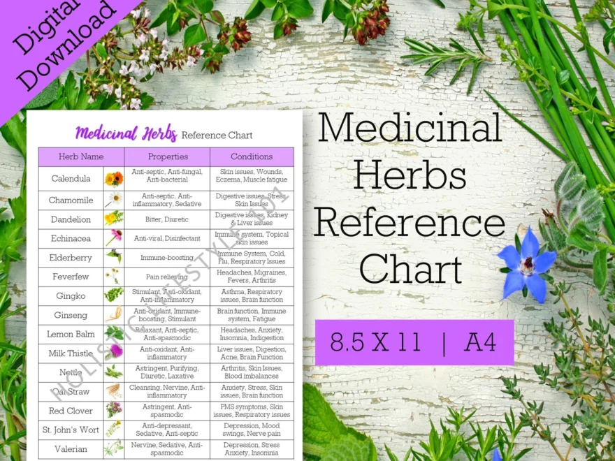 Medicinal Herbs Reference Chart List Of Herbs Printable Herbal Printable Herb Chart Common Herbs Reference Sheet Herbalism Printable Etsy